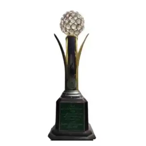 Awards (6)