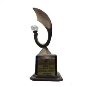 Awards (8)